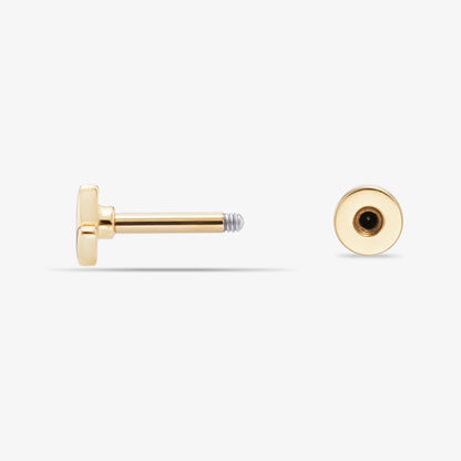 Muse